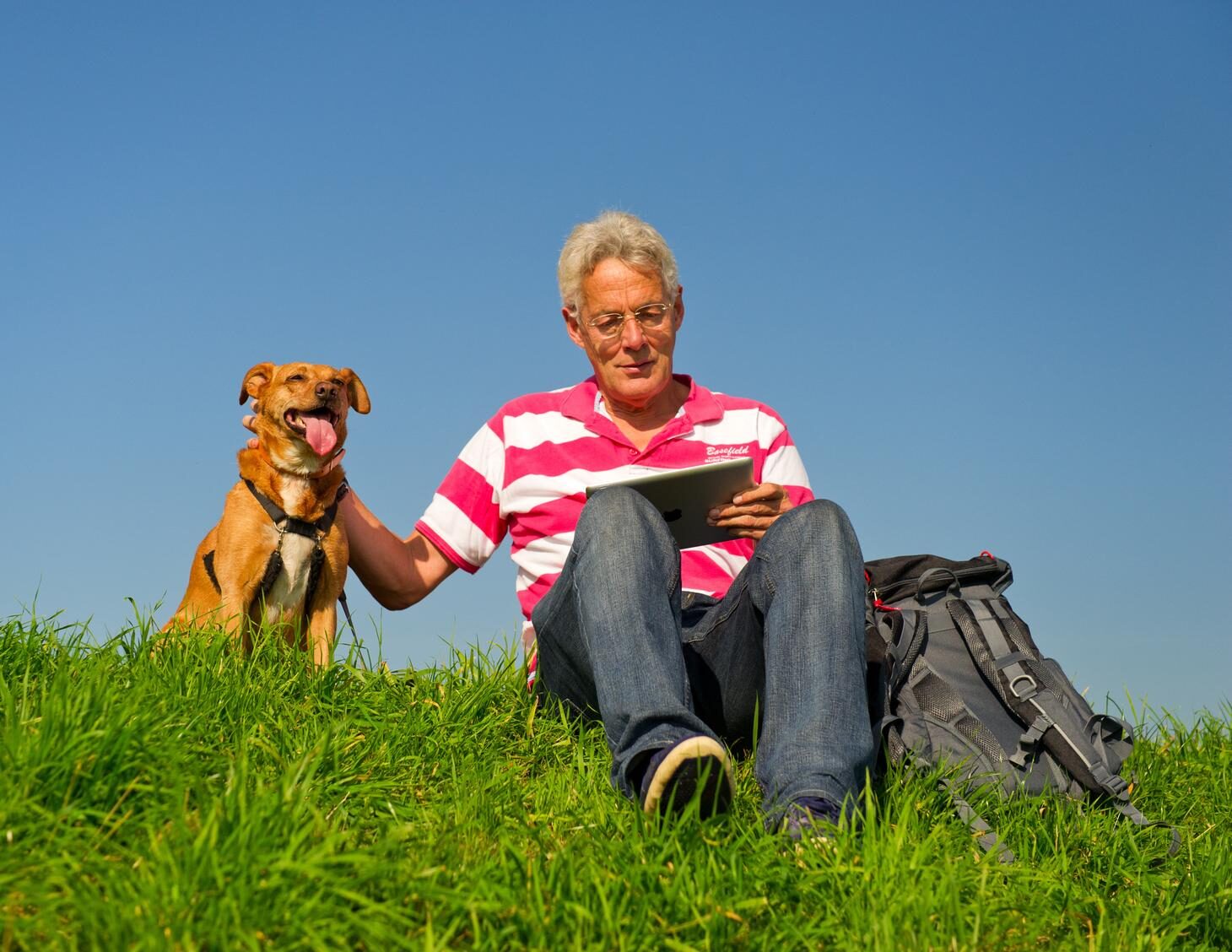 Man leest tablet in de zon op dijk met hond in Ouderkerk aan den IJssel, passend bij de doelgroep van Van der Velden Adviseurs.