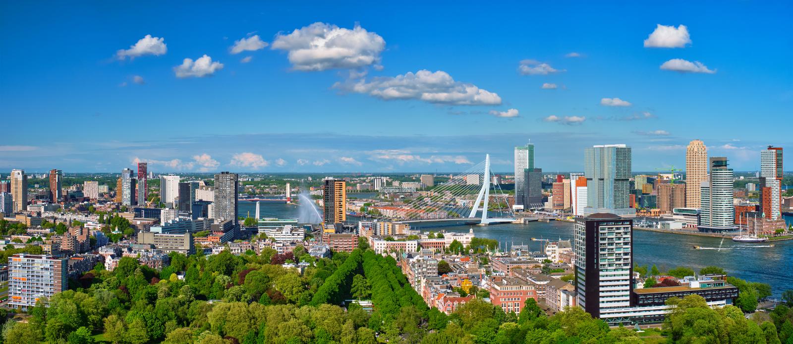 Skyline van Rotterdam met Erasmusbrug en moderne hoogbouw op een zonnige dag.