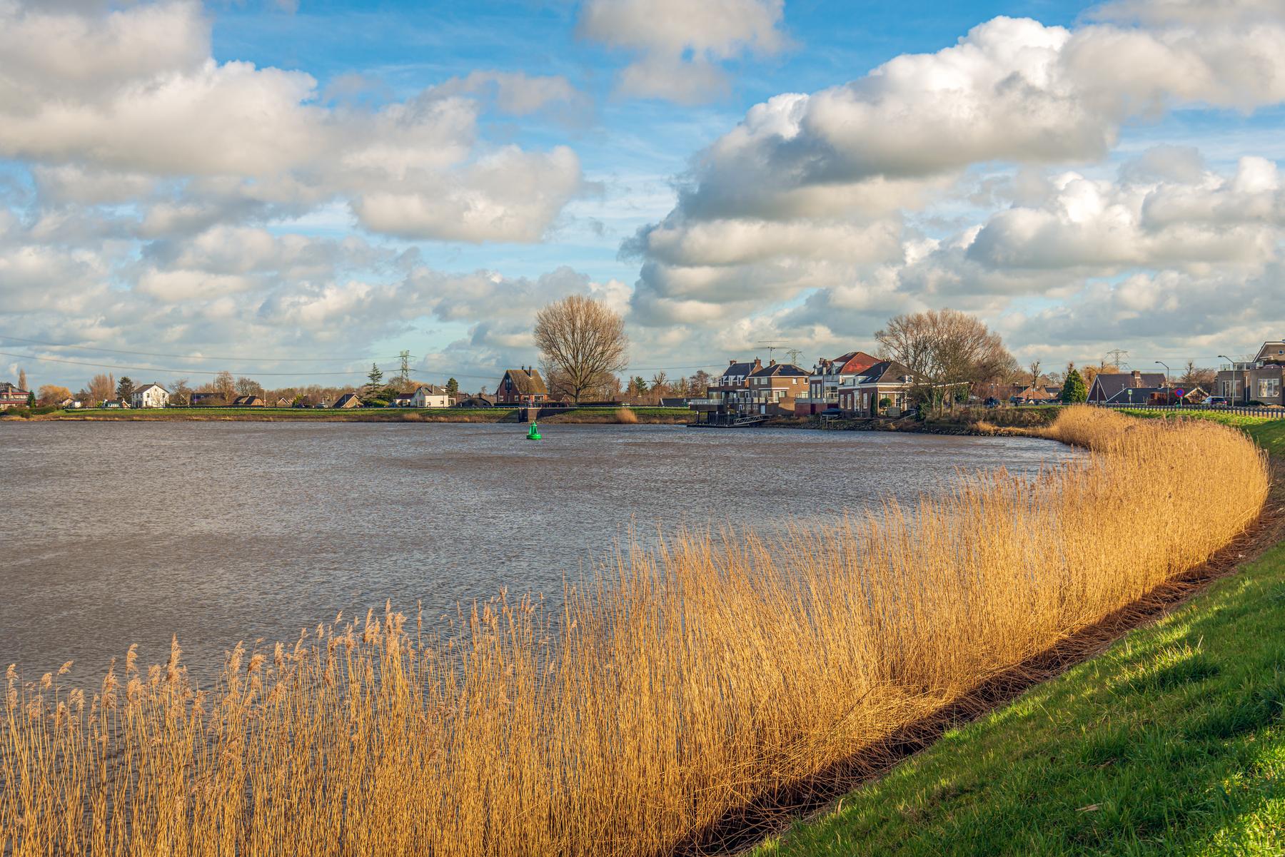 Uitzicht op Krimpen aan den IJssel met huizen aan de oever en riet langs het water.